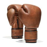 OFVS | PRO Boxing Gloves 3
